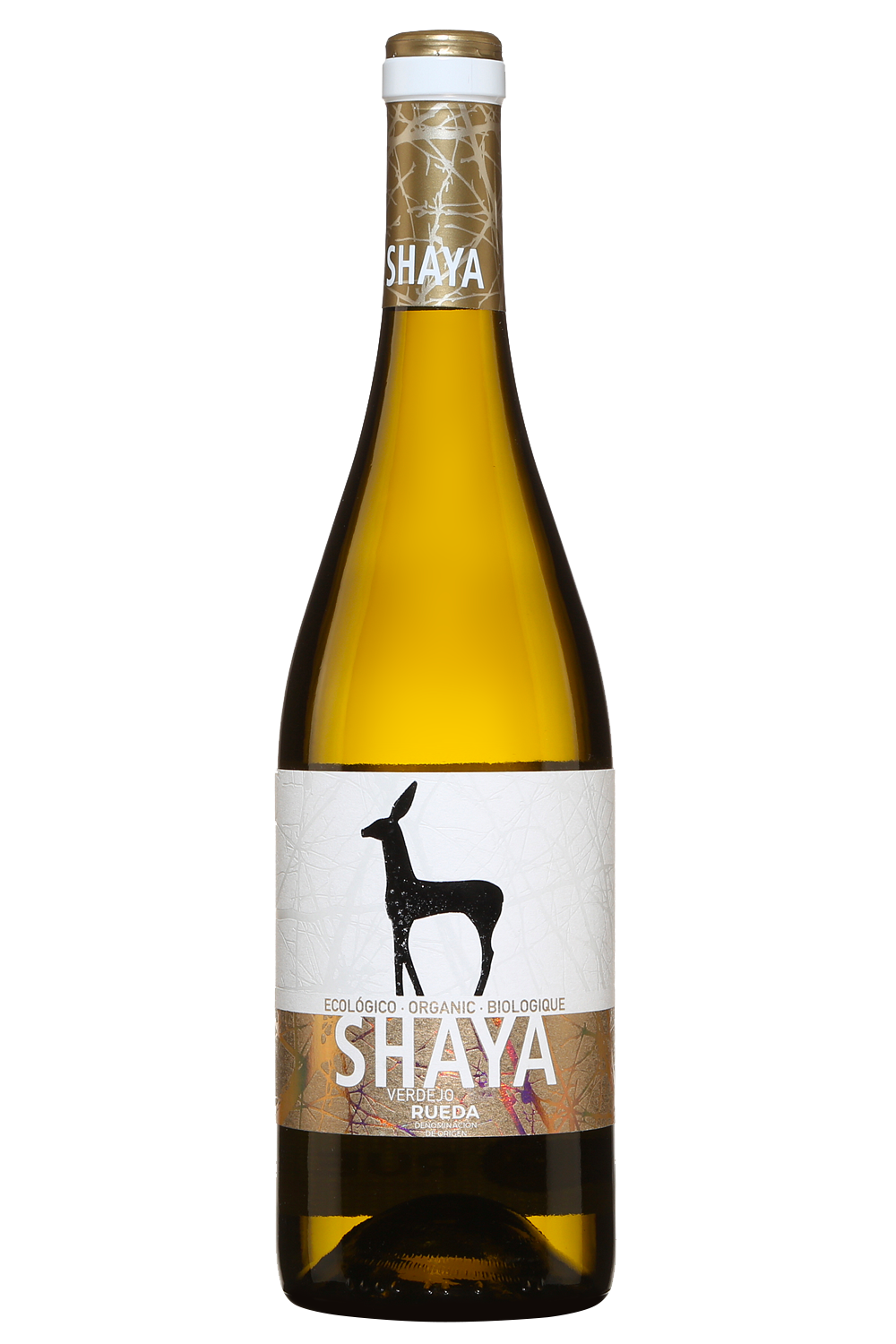 Shaya Verdejo