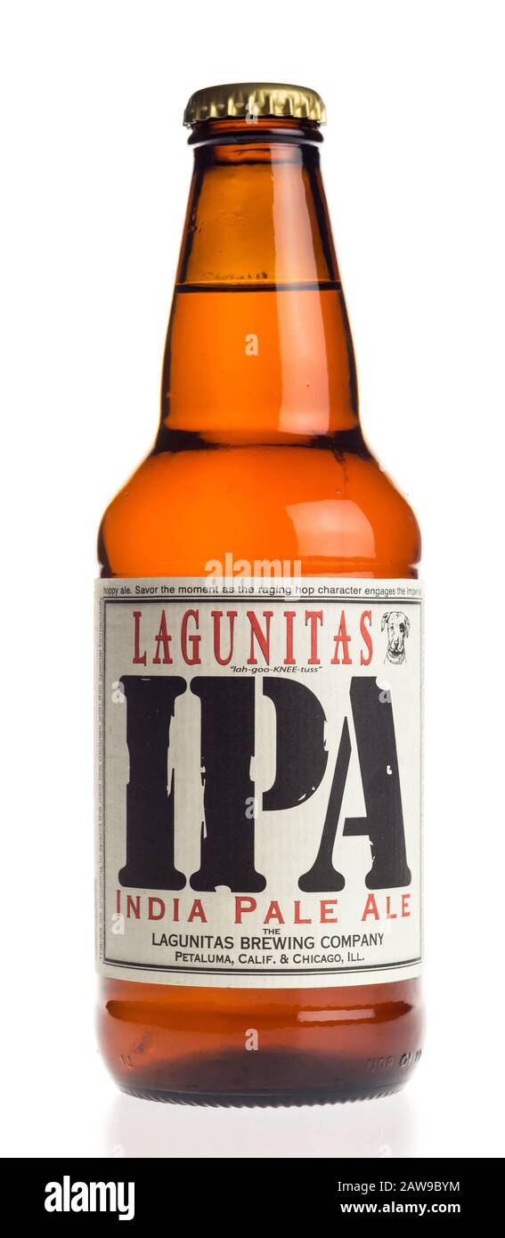 Lagunitas IPA 1/2 Keg