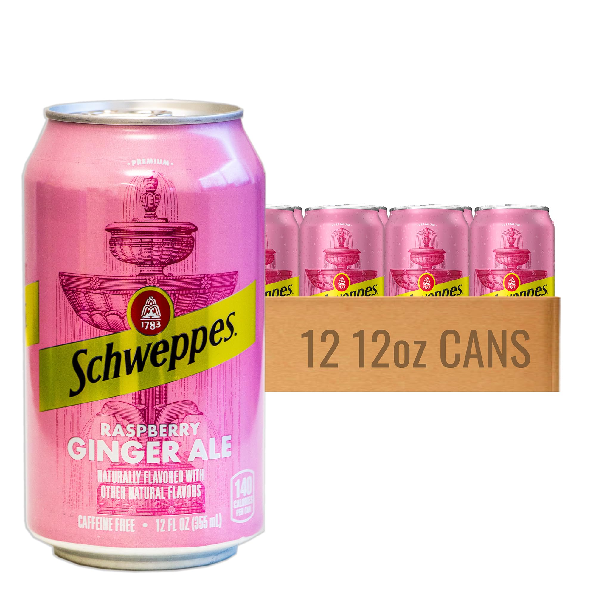 Schweppes Raspberry Ginger 12 Pack Cans