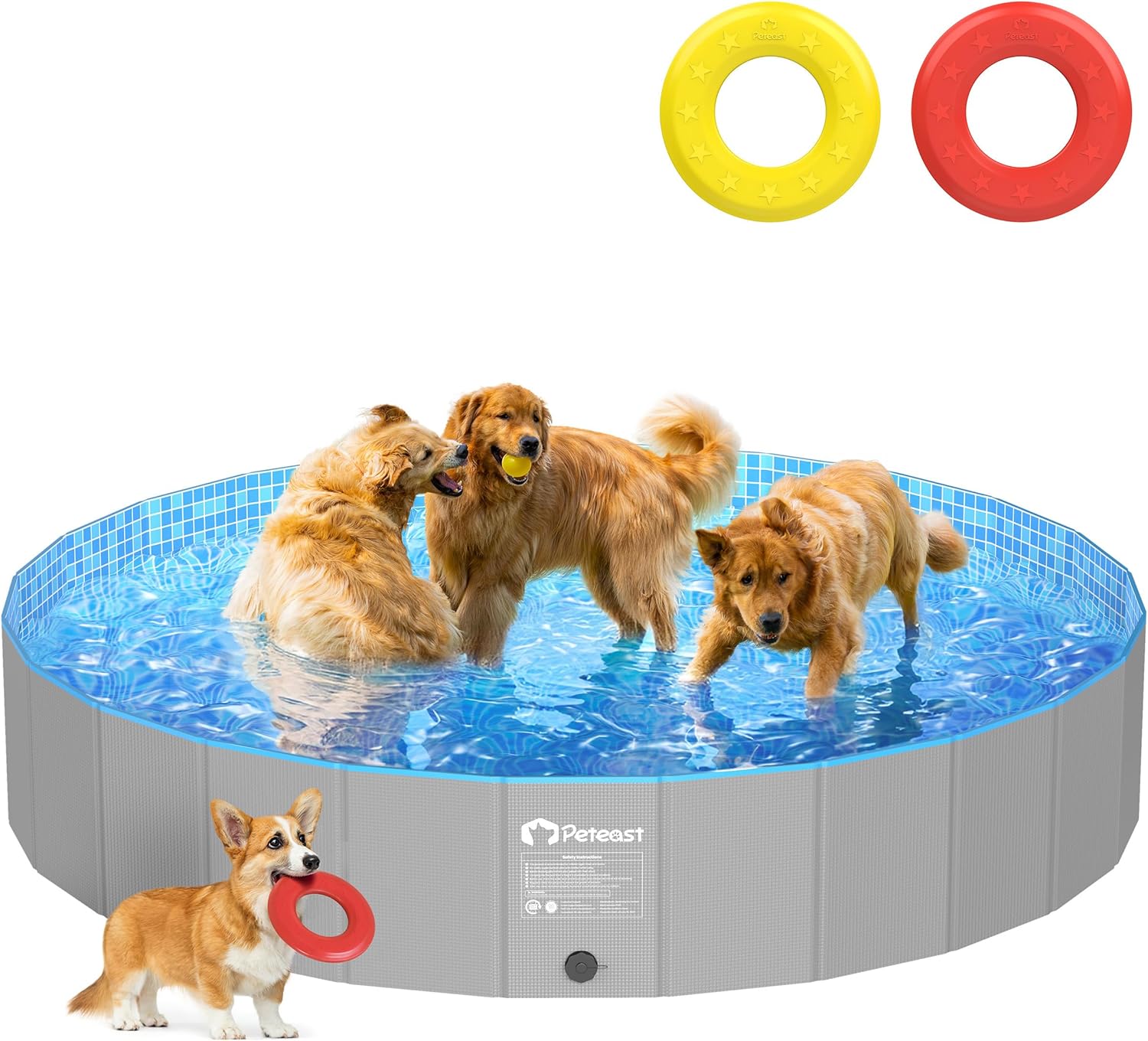 Flying Dog Pool/Lcy/Dgtrbrfst 6 Pack Cns/Btls