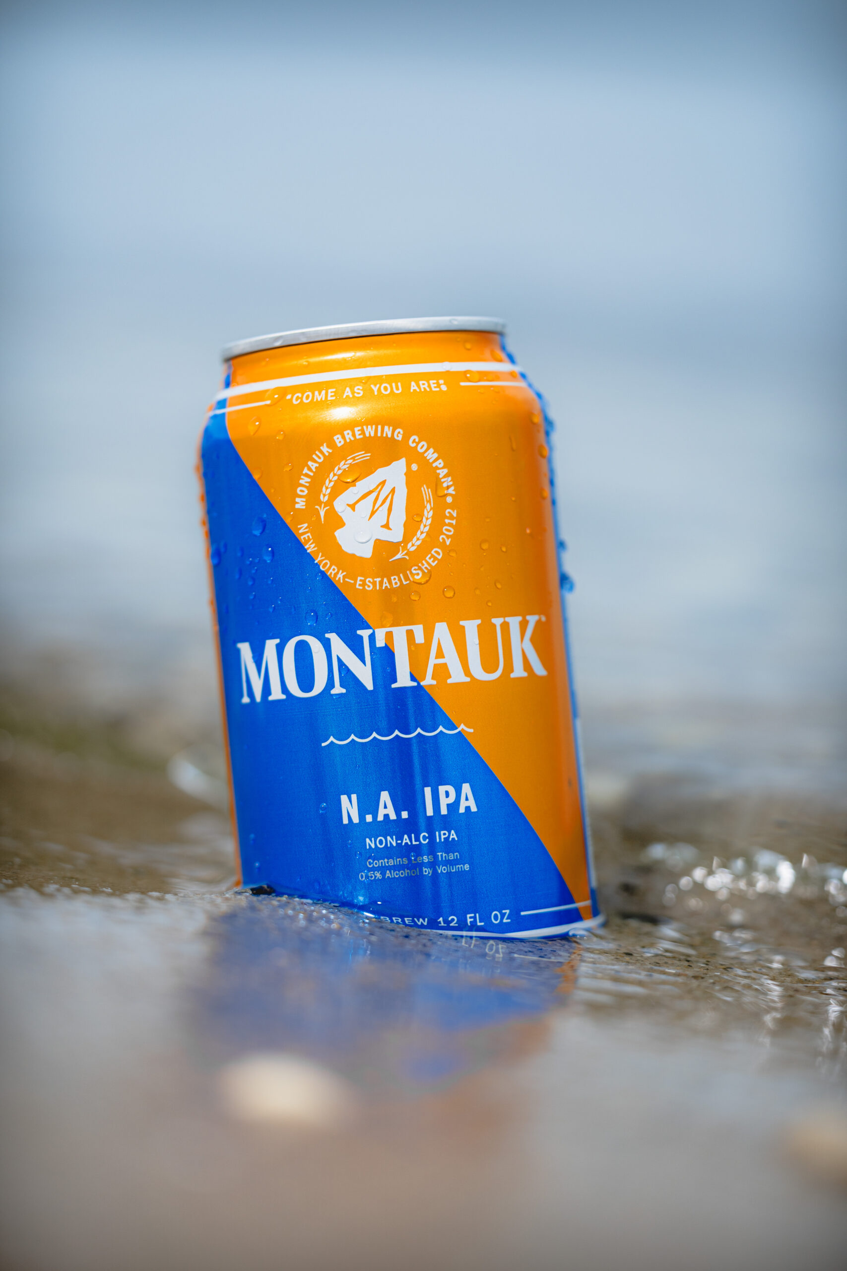 Montauk Non-Alcoholic IPA 6 Pack Cans