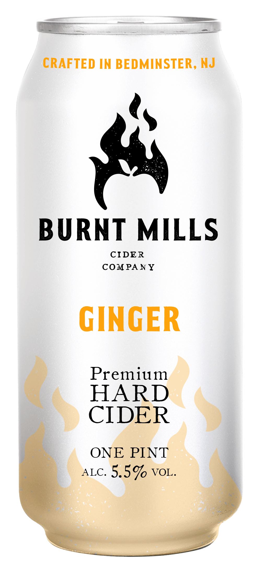 Burnt Mills Ginger Snap 4 Pack Cans