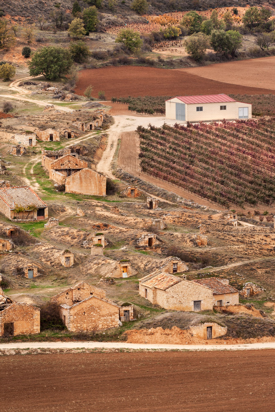 Vina Gormaz Tempranilo