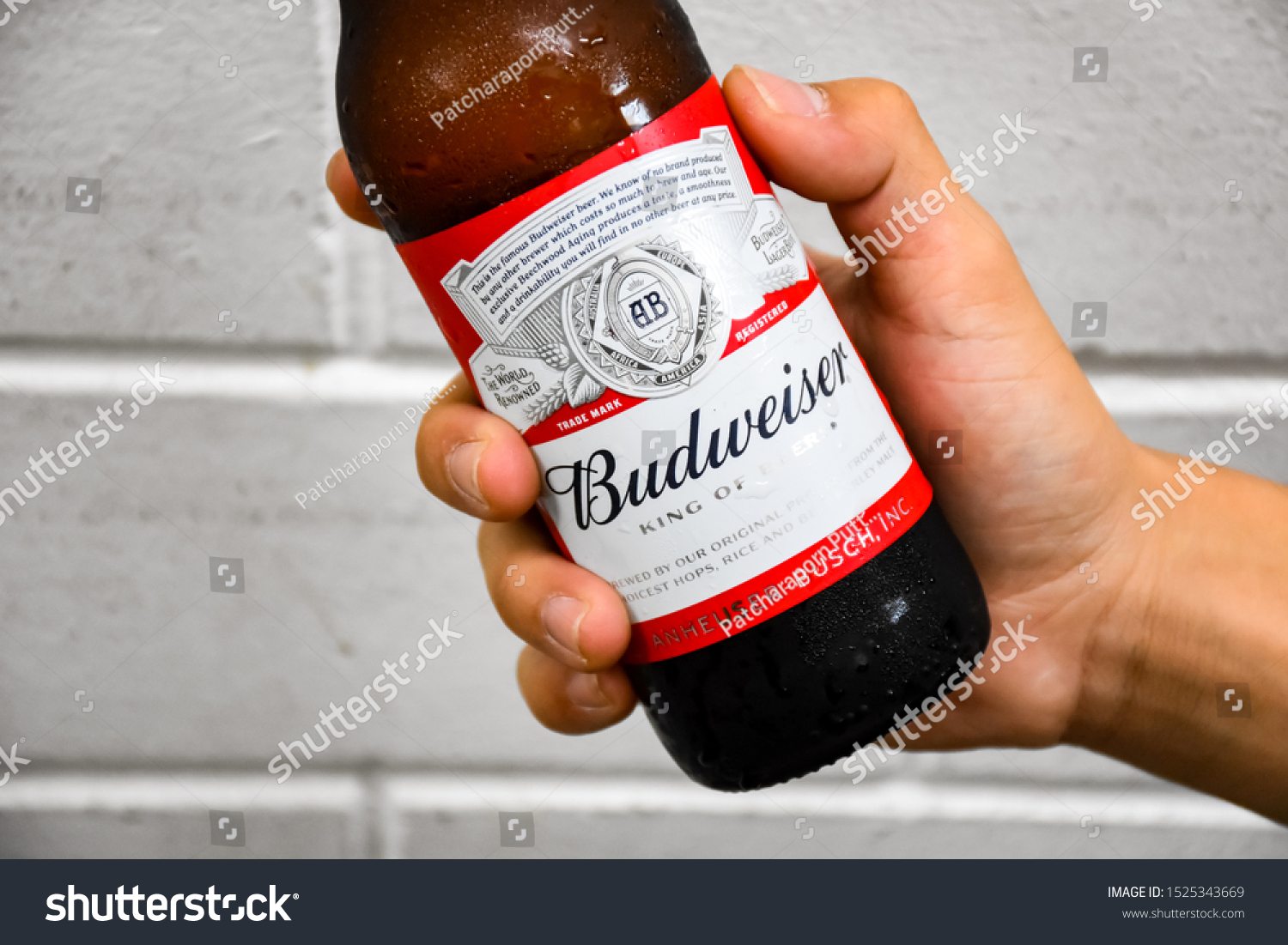 Bud American Ale 6 Pack Bottles