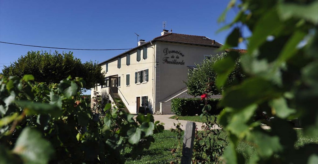 Domaine De La Feuillarde Bourgo Chardonnay