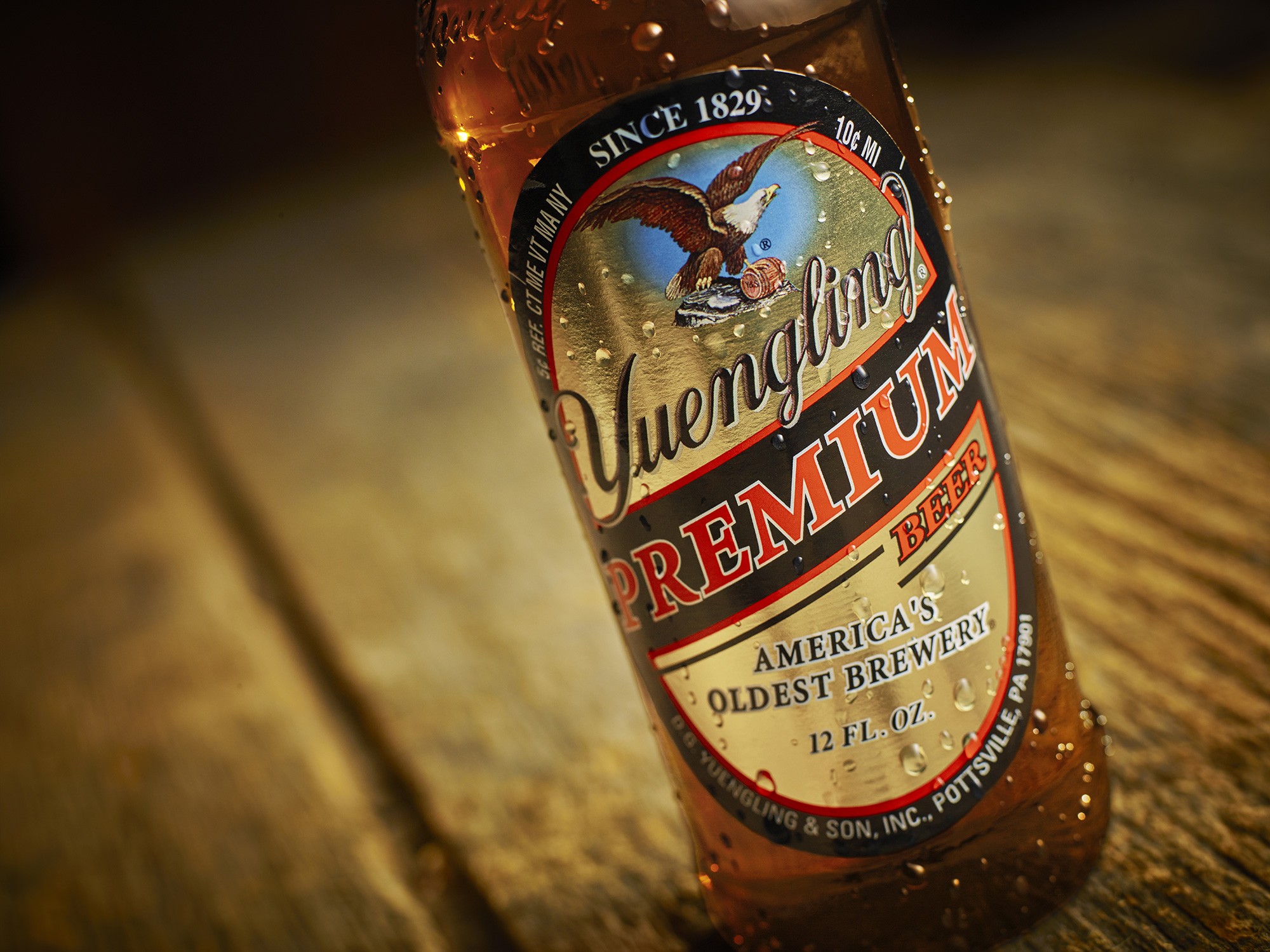 Yuengling Premium Light 24 Pack Can