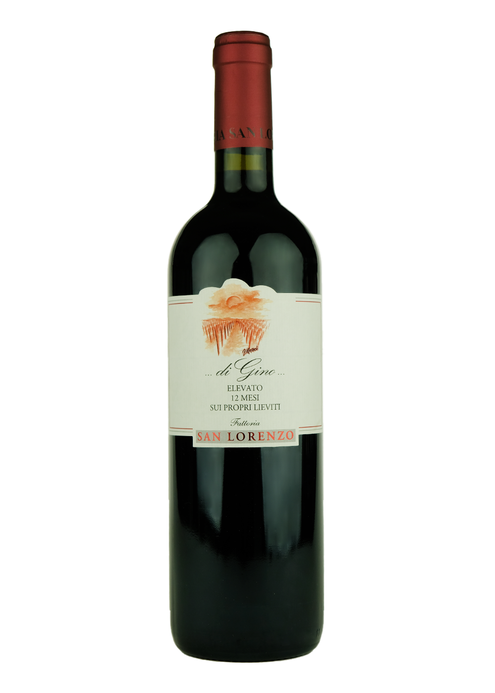 San Lorenzo Vigna Di Gino Verdicchio