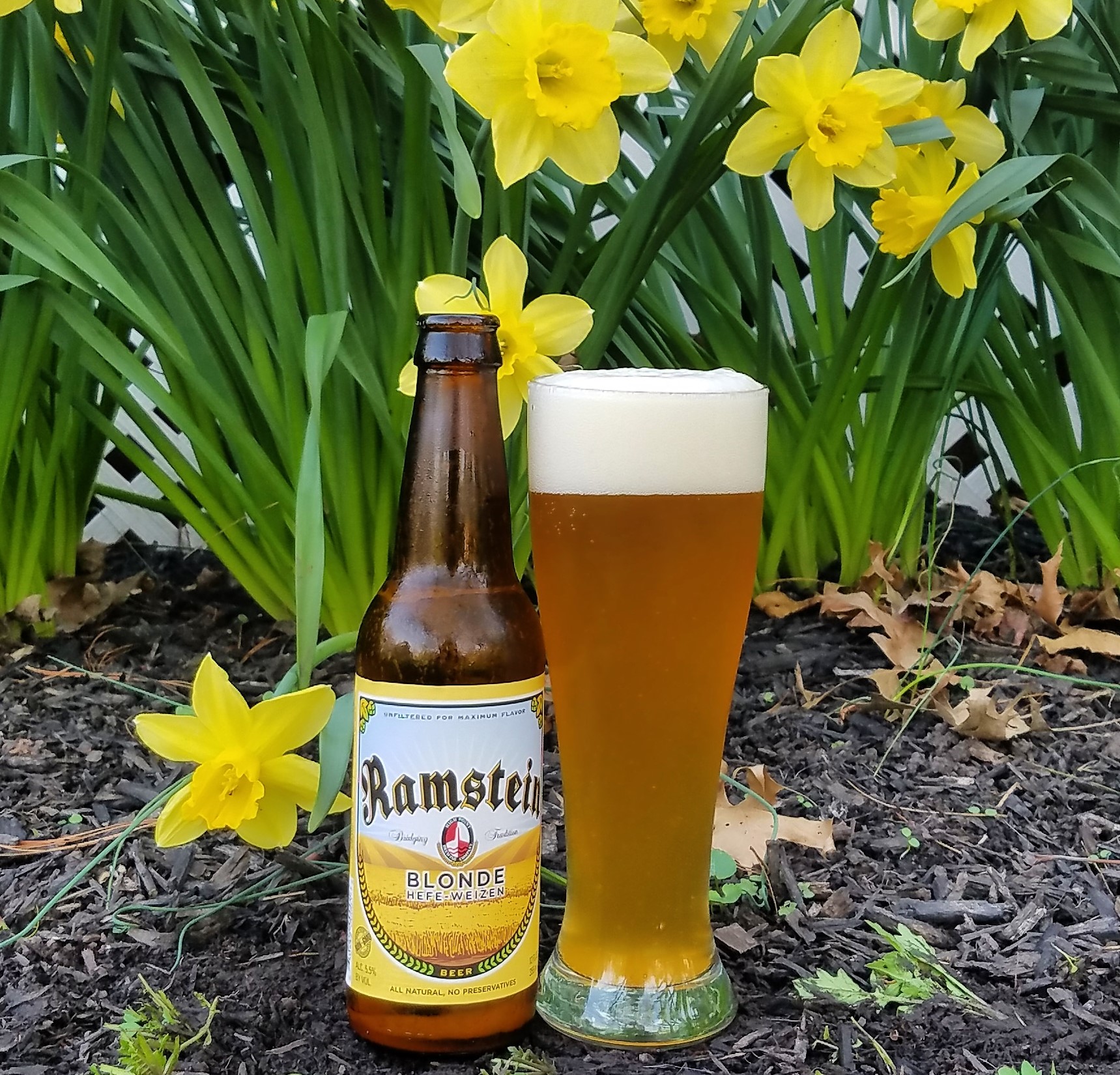 Ramstein Blonde Hefeweizen 6 Pack Bottles