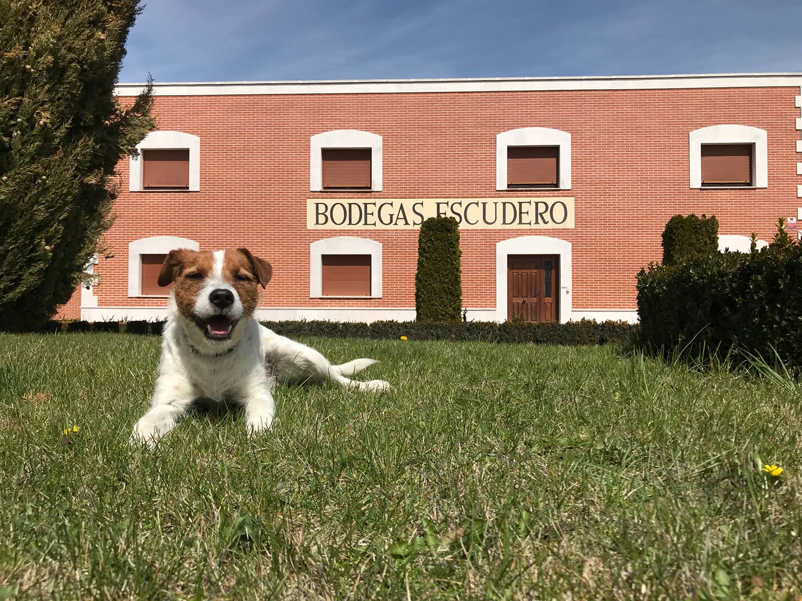 Bodegas Pedro Escu Fue Mil White Blend