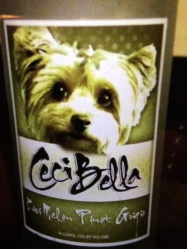 Ceci Bella Kiwi Melon Pinot Grigio