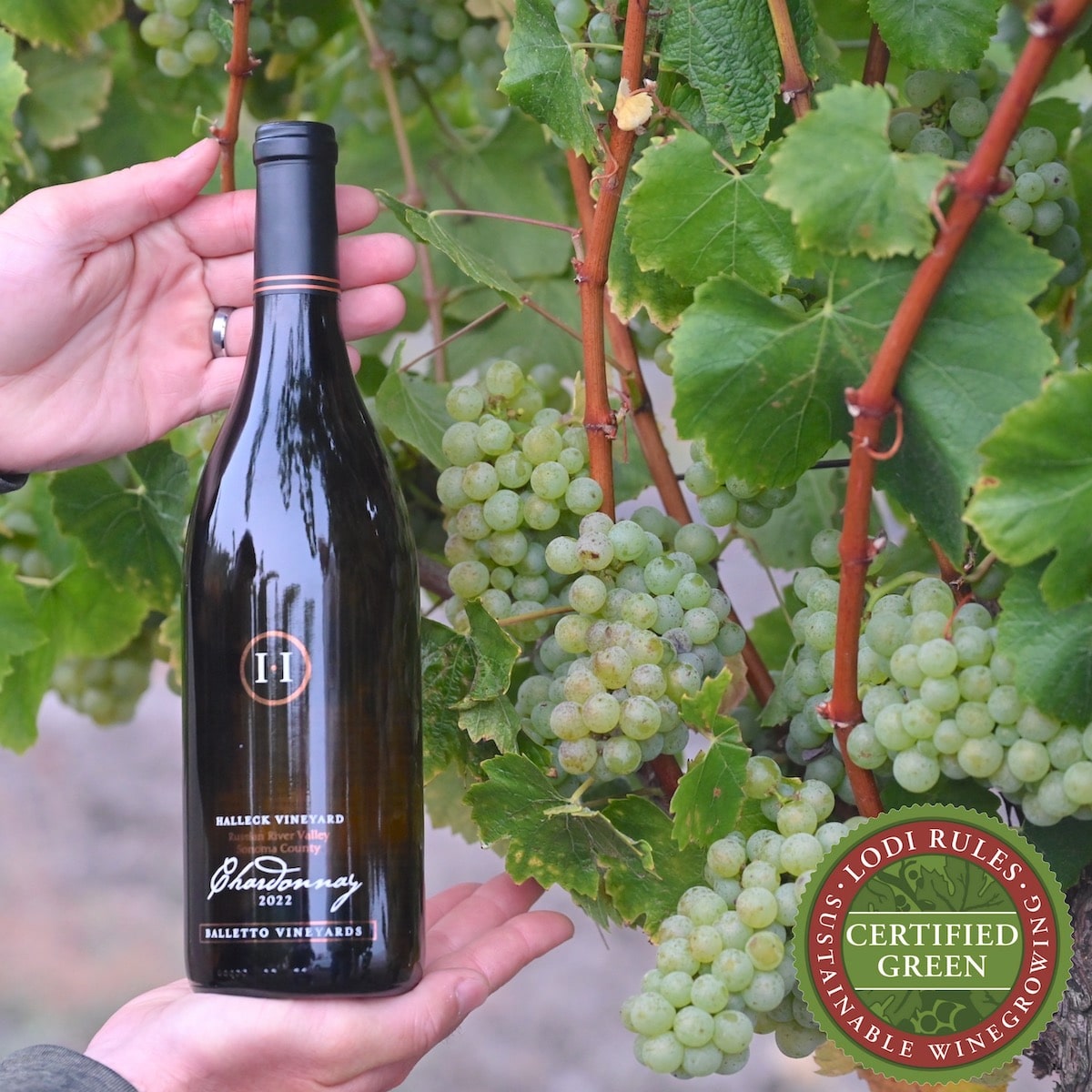 Dalen Vineyard Chardonnay