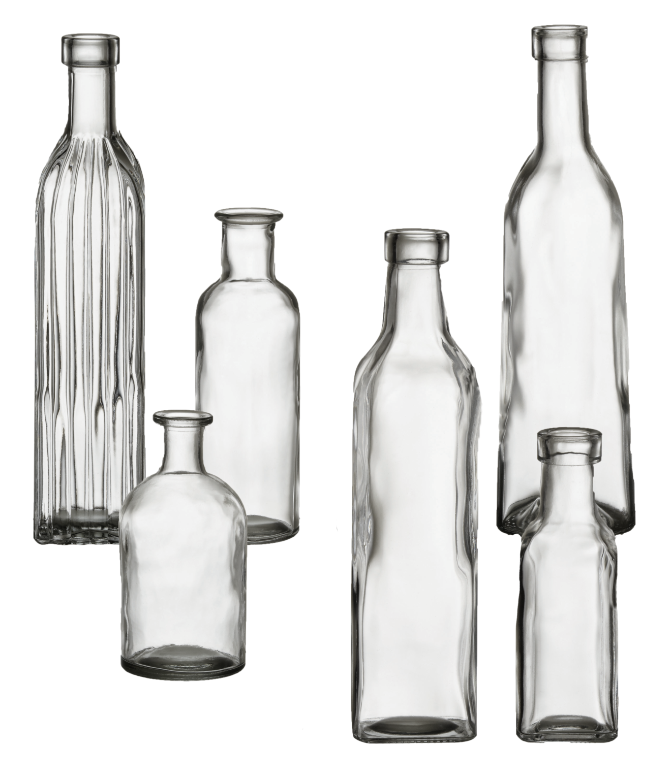 Bud Bottle