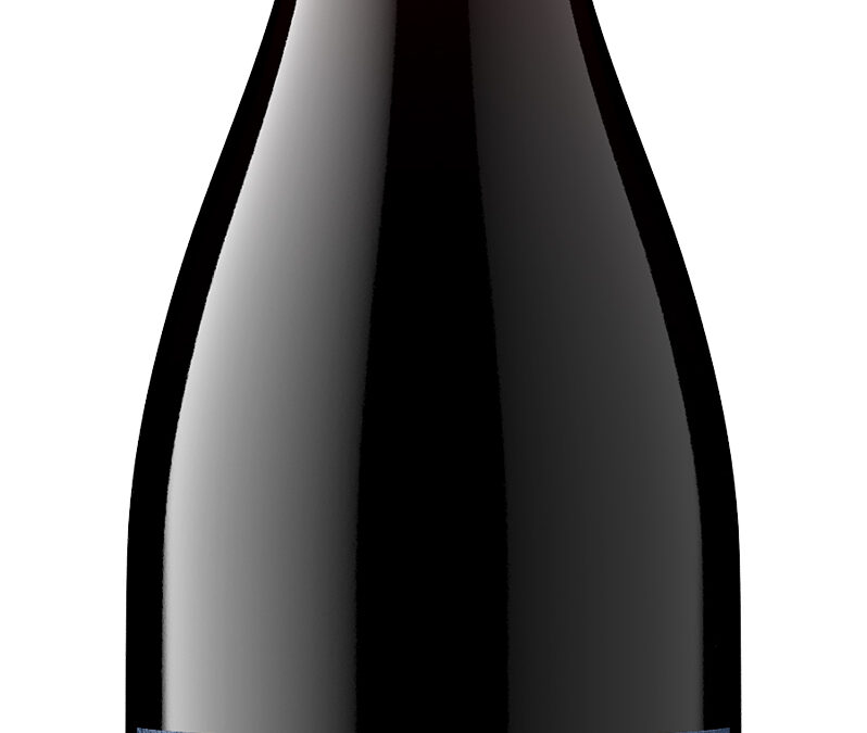 Corbet Canyon Pinot Noir