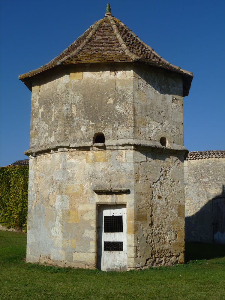 Chateau Haut Couloumey Bordeaux Red