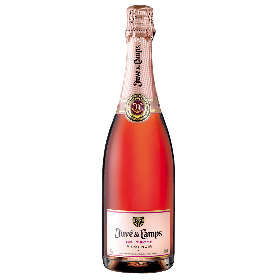 Juve Y Camps Cava Brut Rose