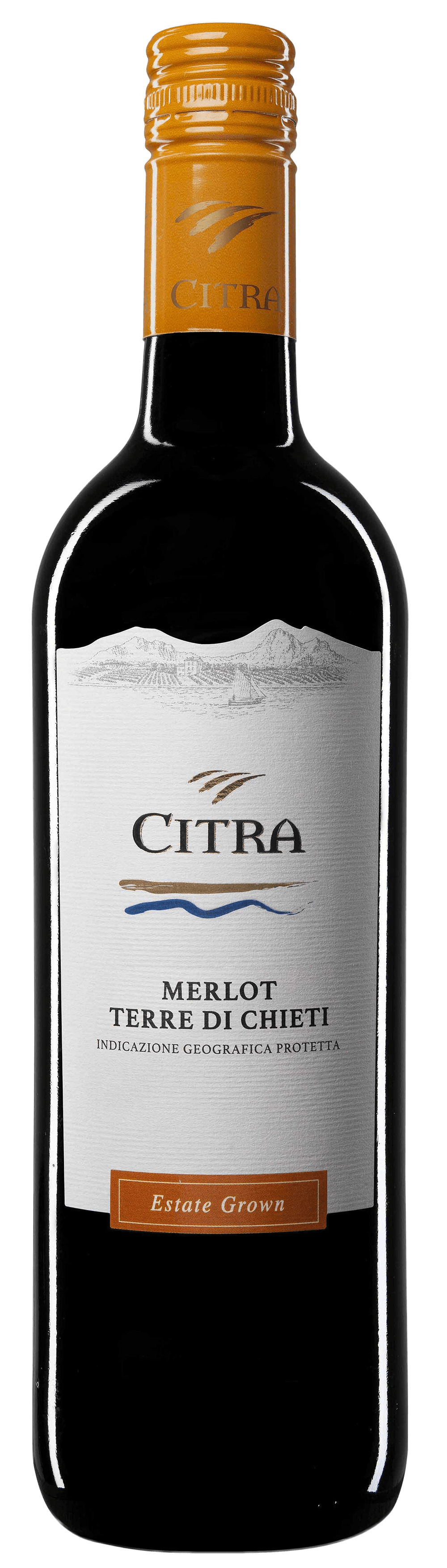 Citra Merlot