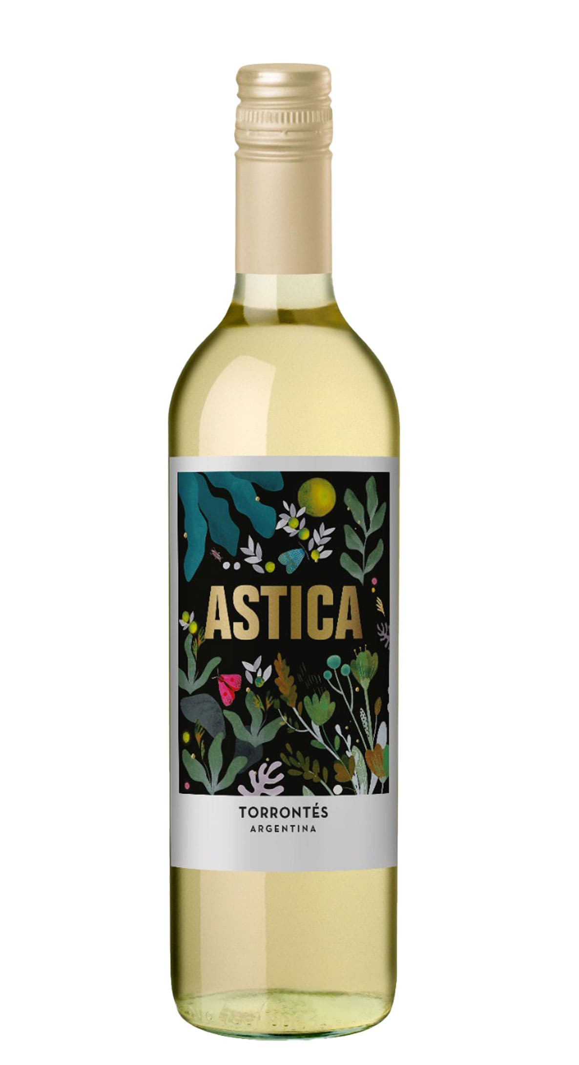 Astica Torrontes