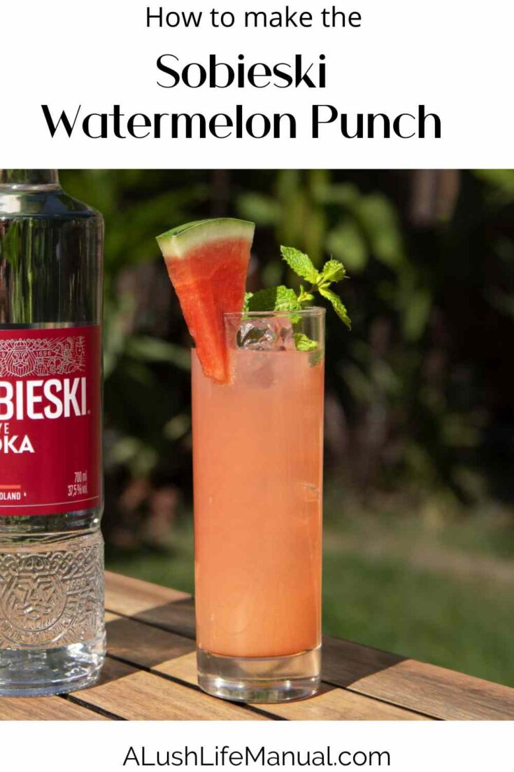 Sobieski Cynamon