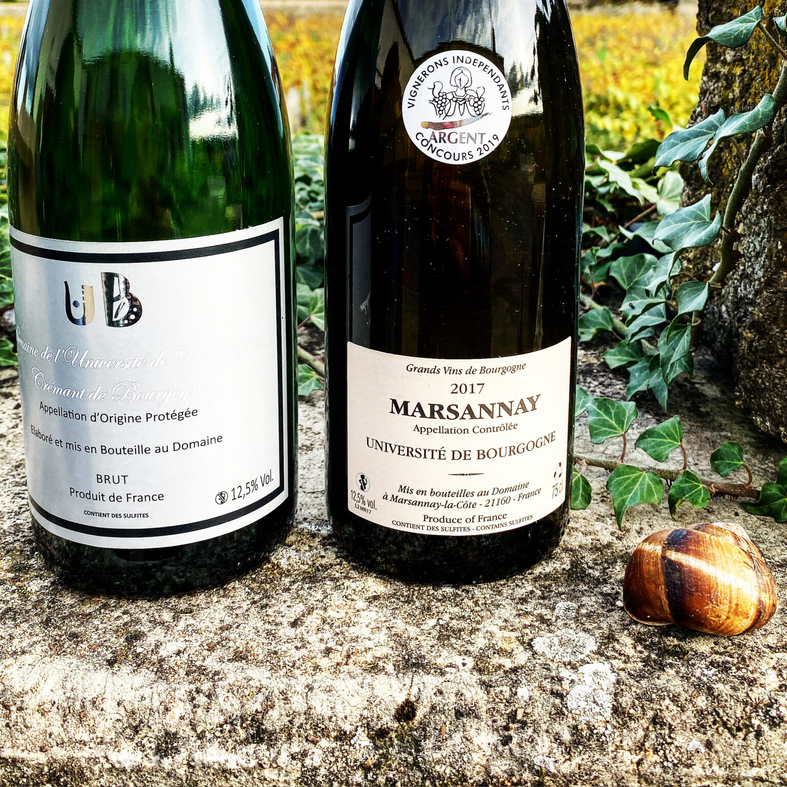 Domaine Huguenot Marsannay Les Eche Burgundy Red