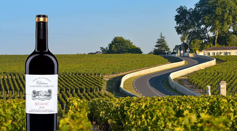 Chateau La Pigotte Terre Feu Bordeaux Red