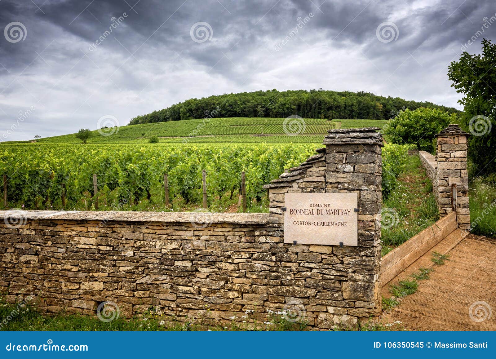 Chateau Genot-Bou Corton-Charlemagne Burgundy White
