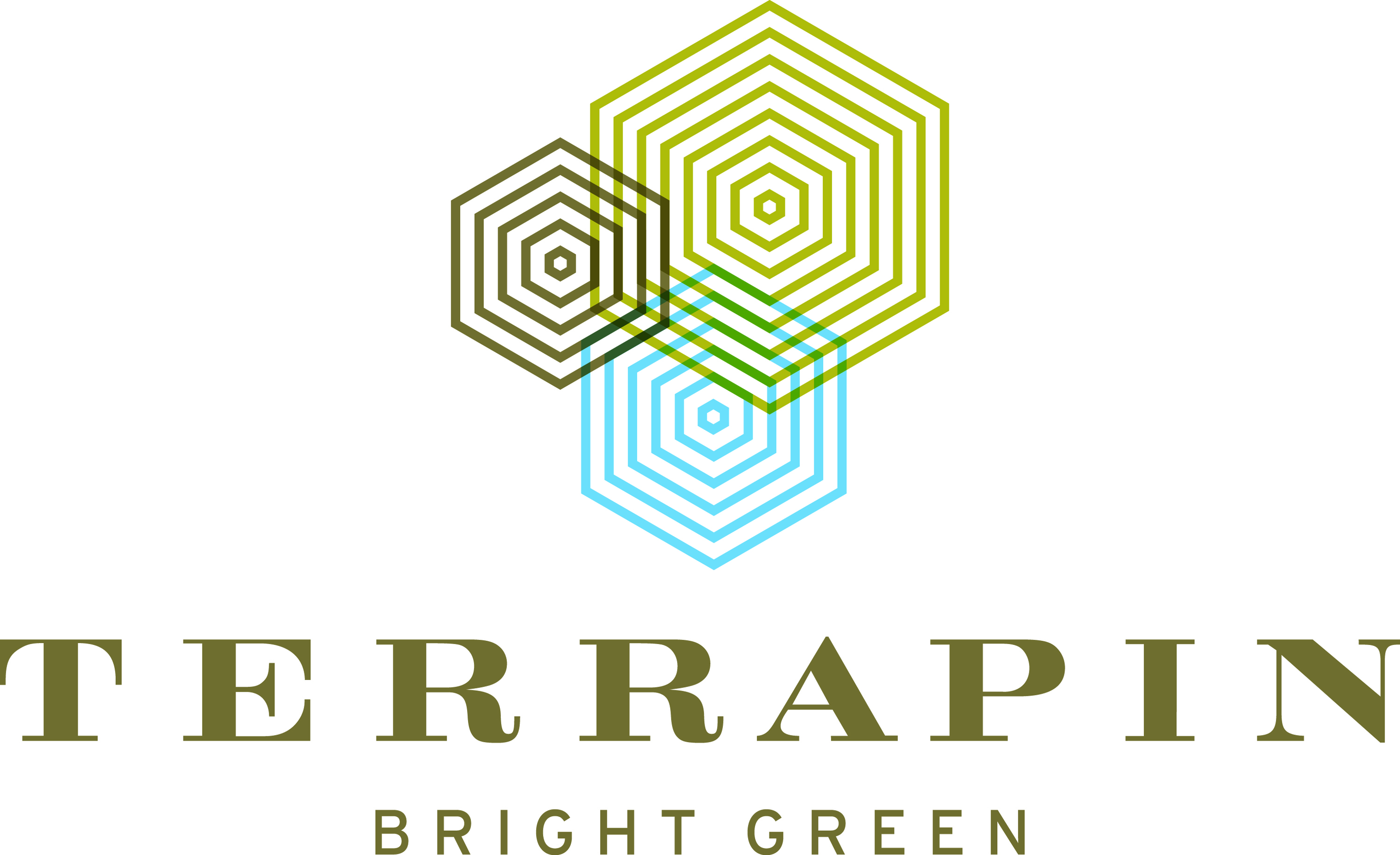 Terrapin Green Flash Collab Bottle