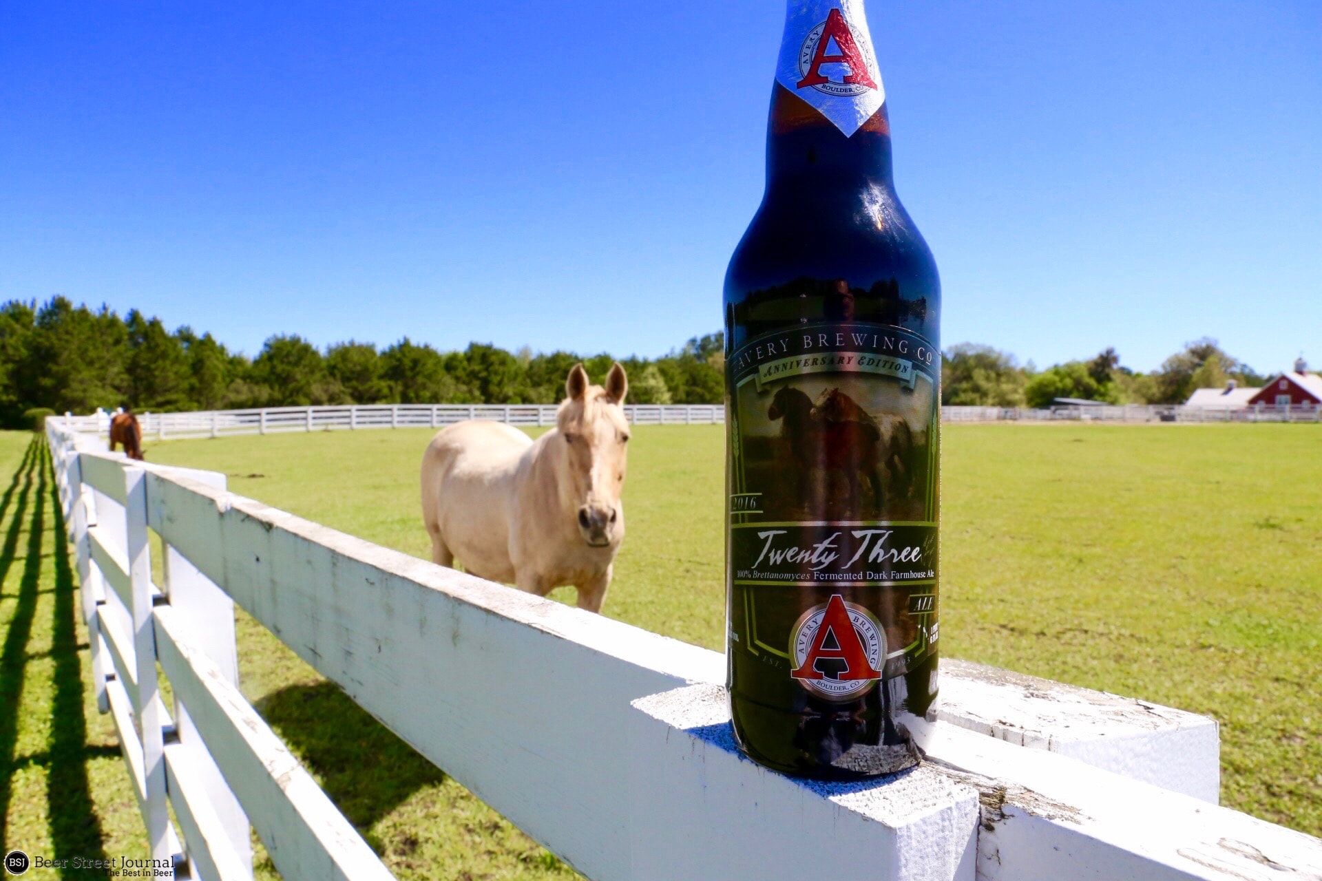 Avery Brew Twenty One Ale Bottle