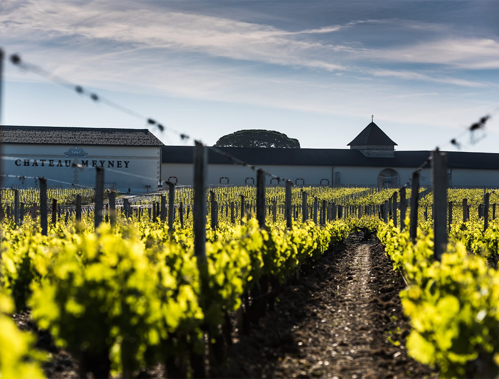 Chateau Meyney Bordeaux Red