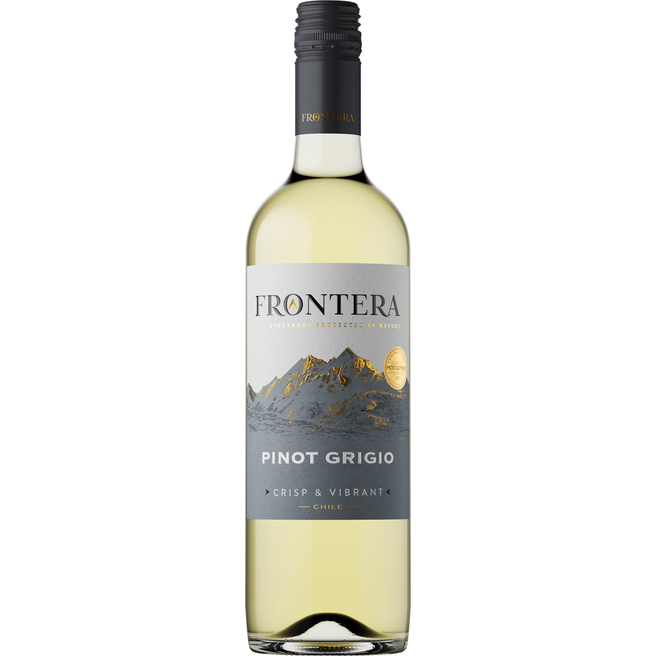 Concha Y Toro Frontera Pinot Grigio