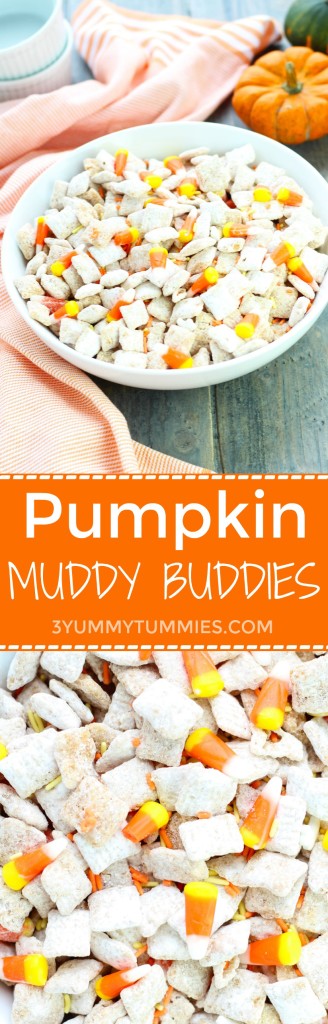 Muddy Pumpkin Smasher 6 Pack Bottles