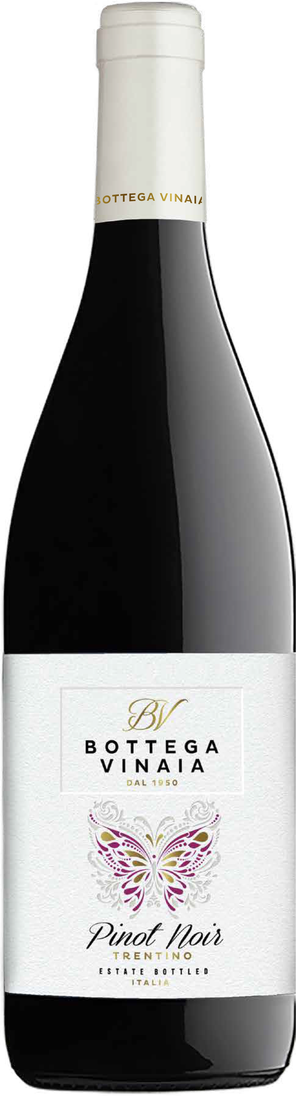 Bottega Vinaia Pinot Noir