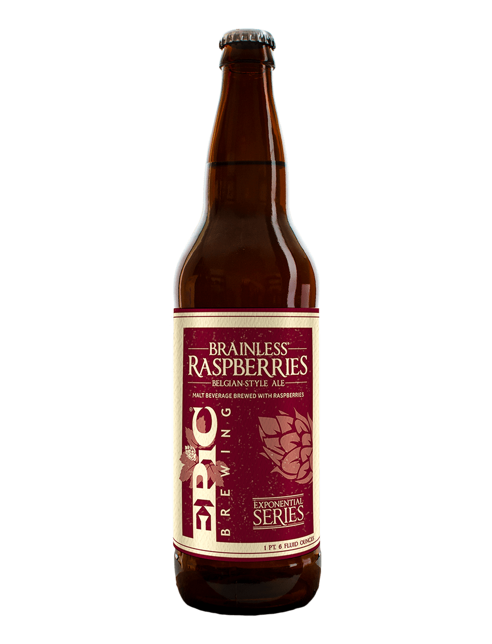 Epic Brew Brainless Raspberries 6 Pack Cans