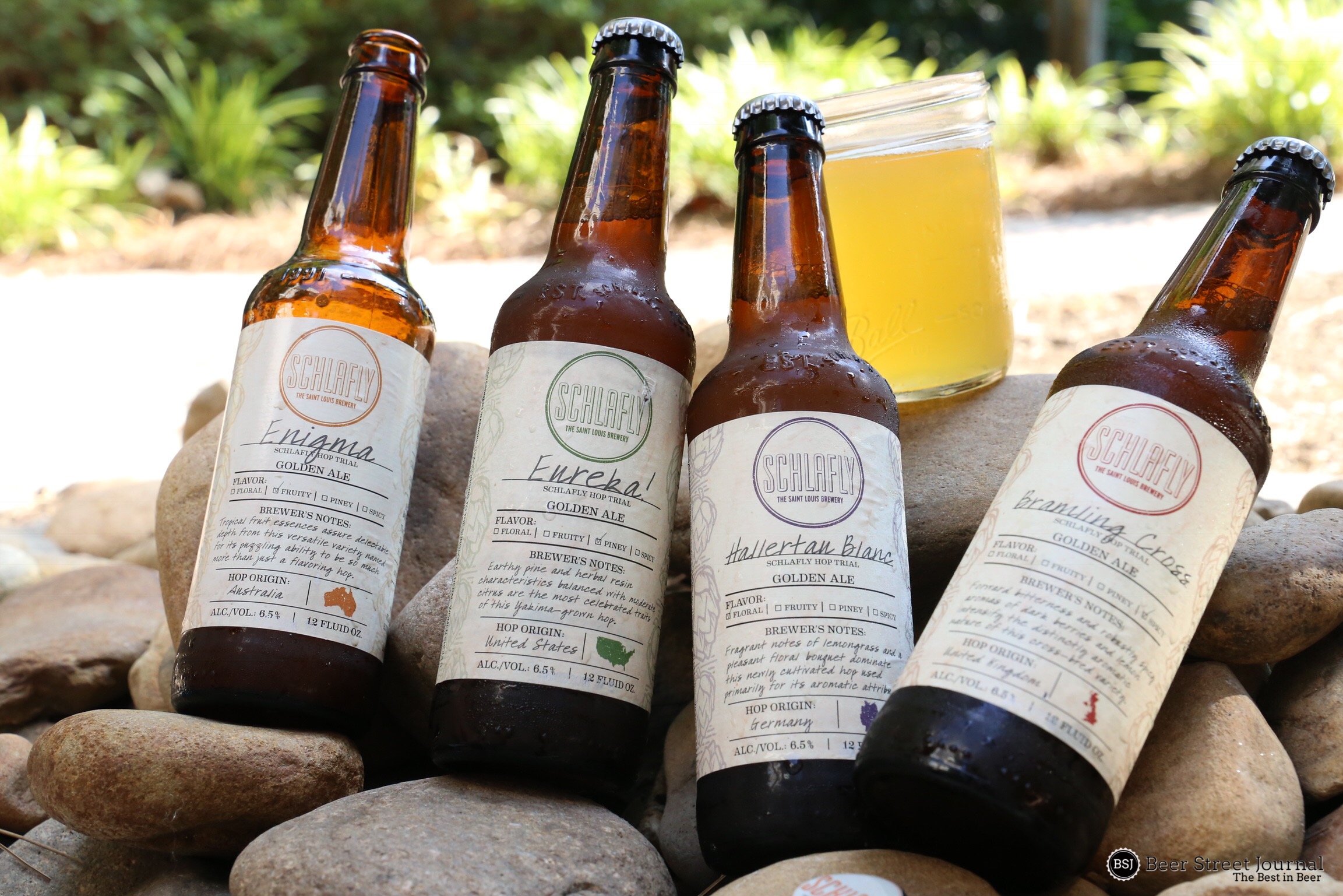 Schlafly Y Wht/Ra He/Cof/Oct 6 Pack Bottles