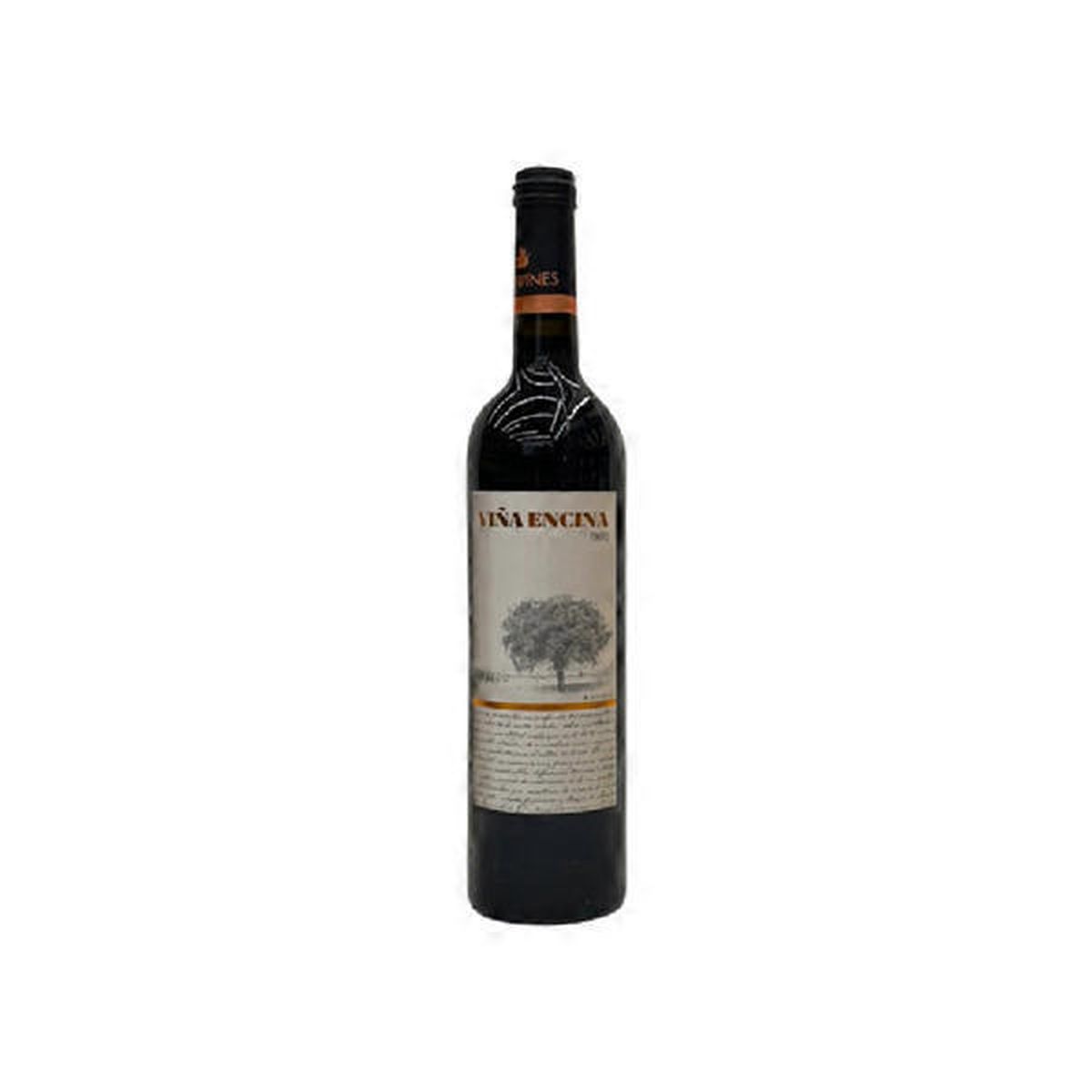 Sintonia Elvi Sangria