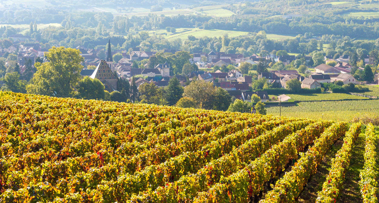 Les Pierres Grises Delaye Burgundy White