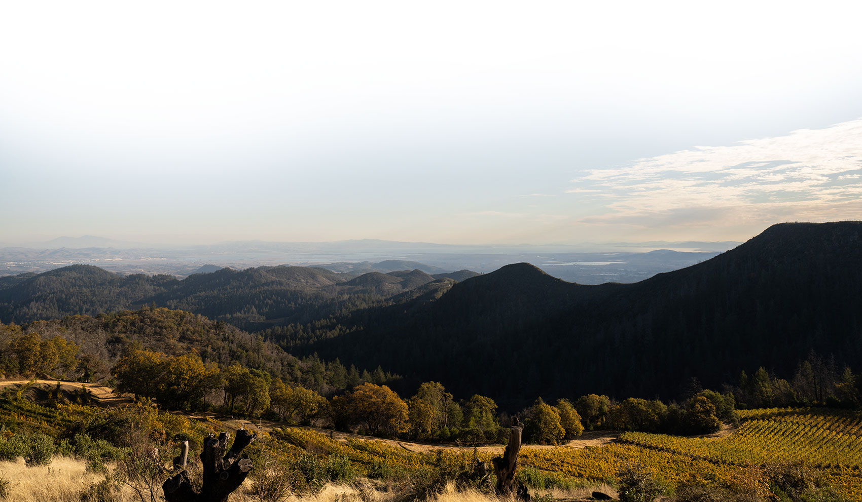 Mayacamas Chardonnay