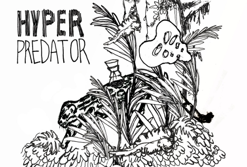 Off Color Hyper Predator 4 Pack Bottles