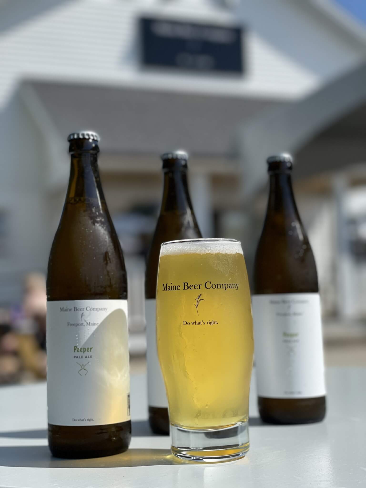Maine Brew Beer Ii Bottle