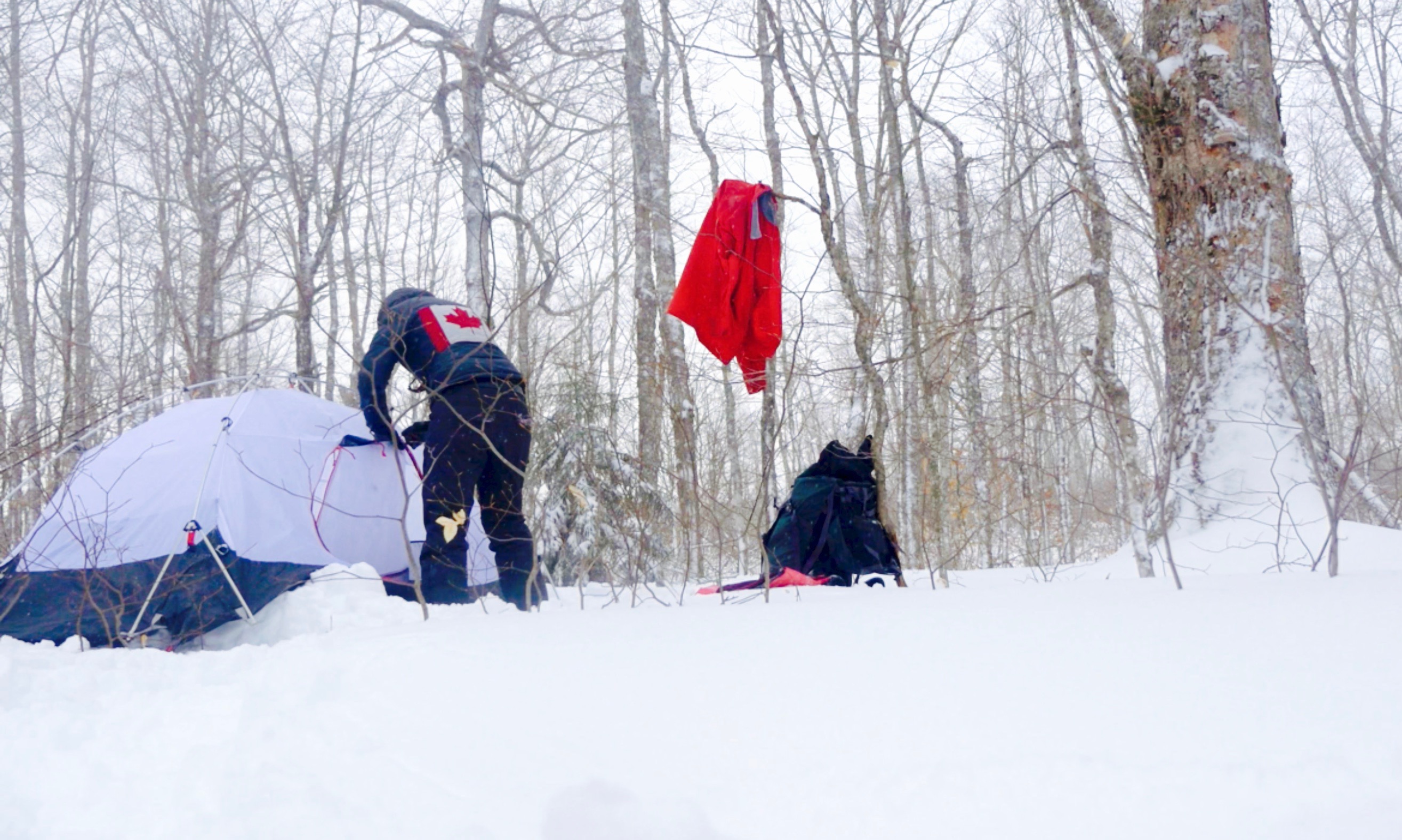 Long Trail Limbo 1/6 Keg