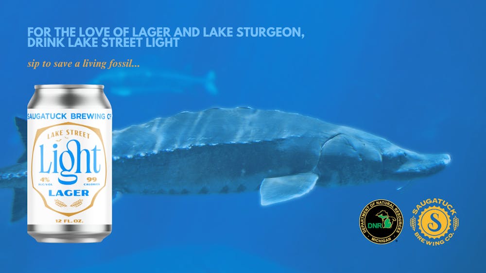 Saugatuck Staut Pack 12 Pack Bottle