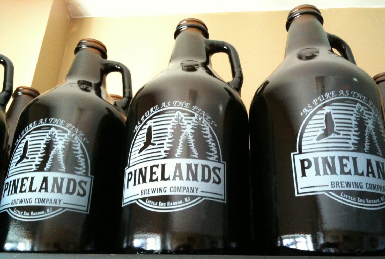 Pinelands Brew Smash 1/6 Keg