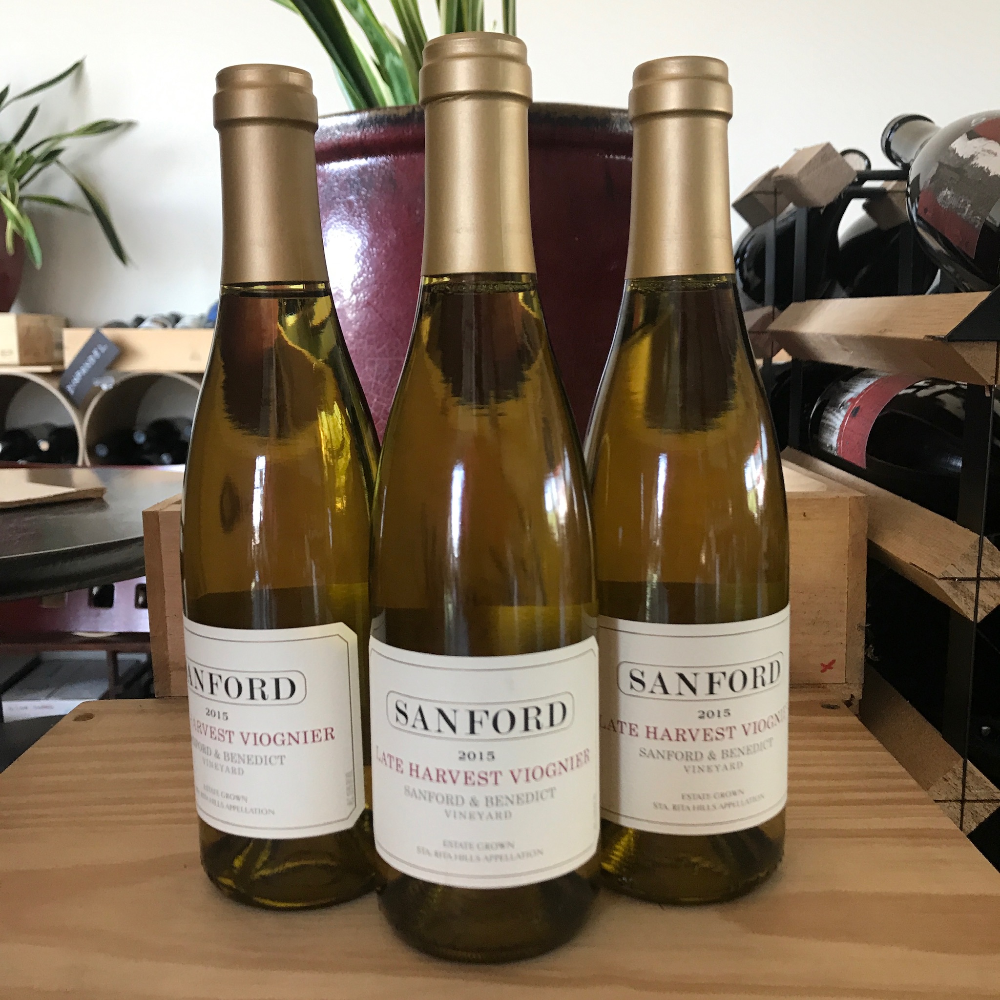 Sanford Santa Rita Hills Rose