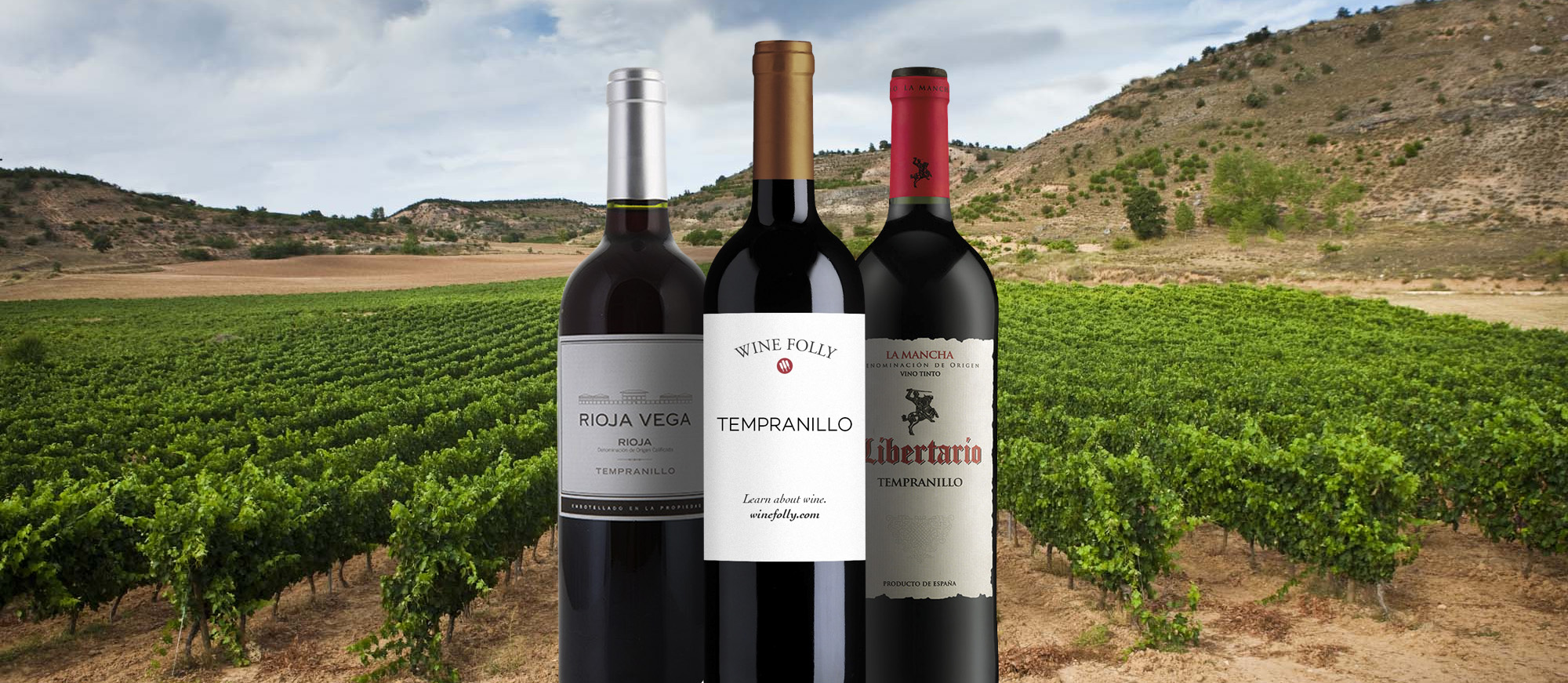 Payva Tempranillo