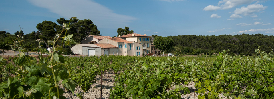 Chateau Sainte Eulalie Red Blend