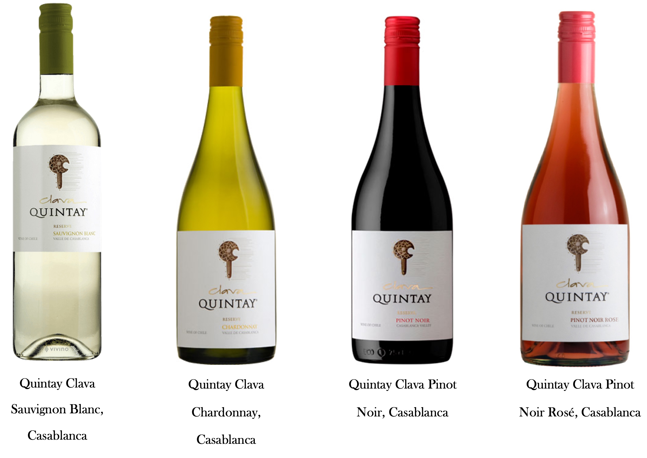 Vina Quintay Syrah