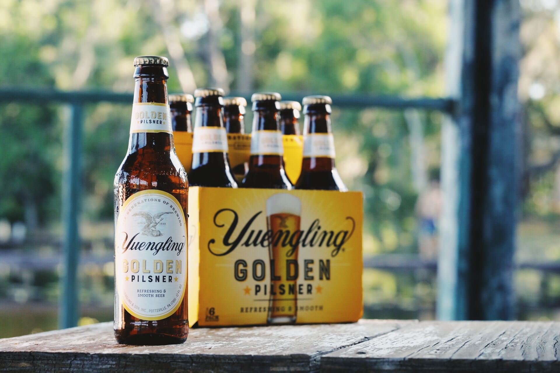 Yuengling Golden Pilsner 12 Pack Bottle