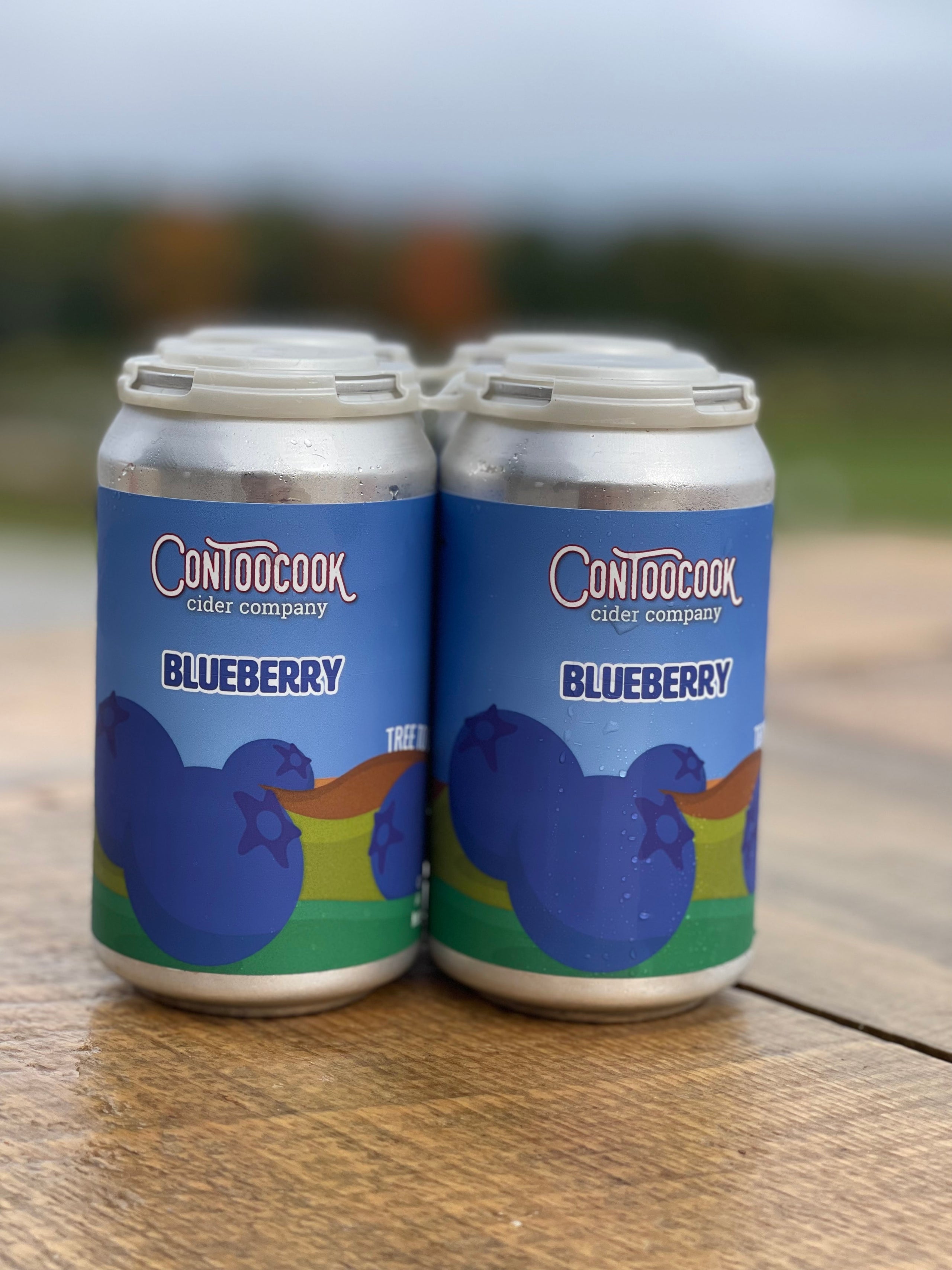 Three 3 Blueberry Saison 4 Pack Cans