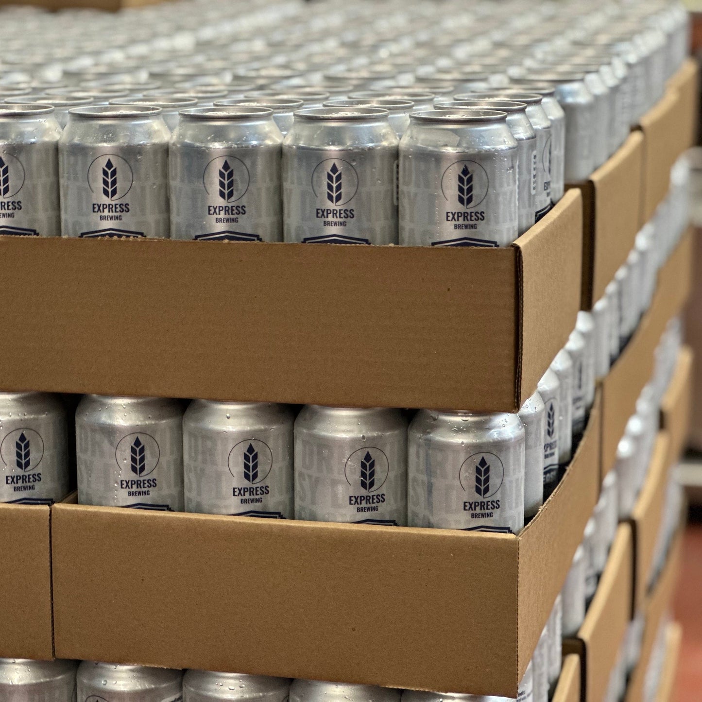 Riverhorse Summer Blonde 6 Pack Cans