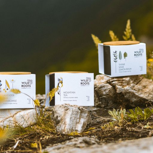 Common Roots Pill/Gos And Ord Con 4 Pack Cans