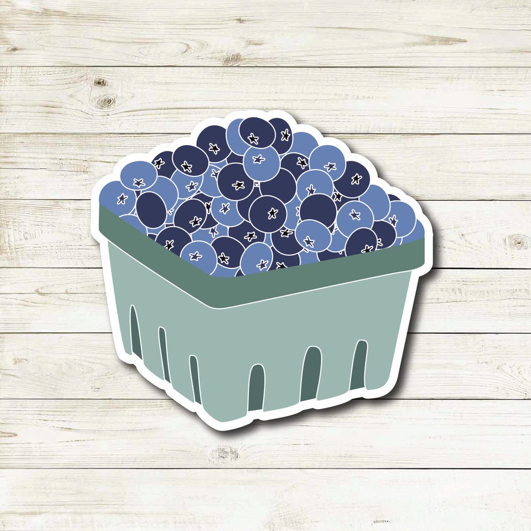 Carton Highlndr Blueberry 4 Pack Cans